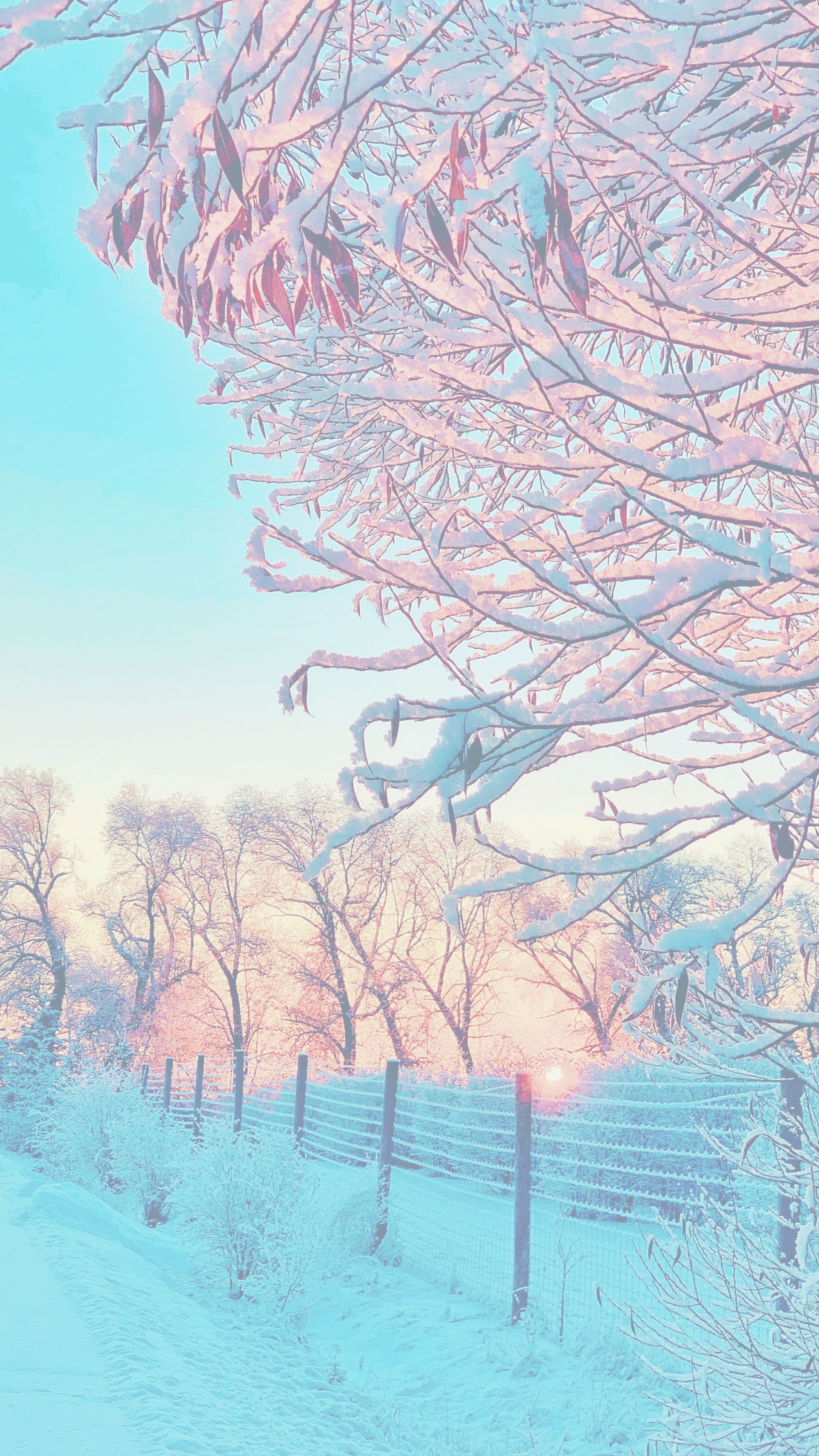 cute winter wallpaper