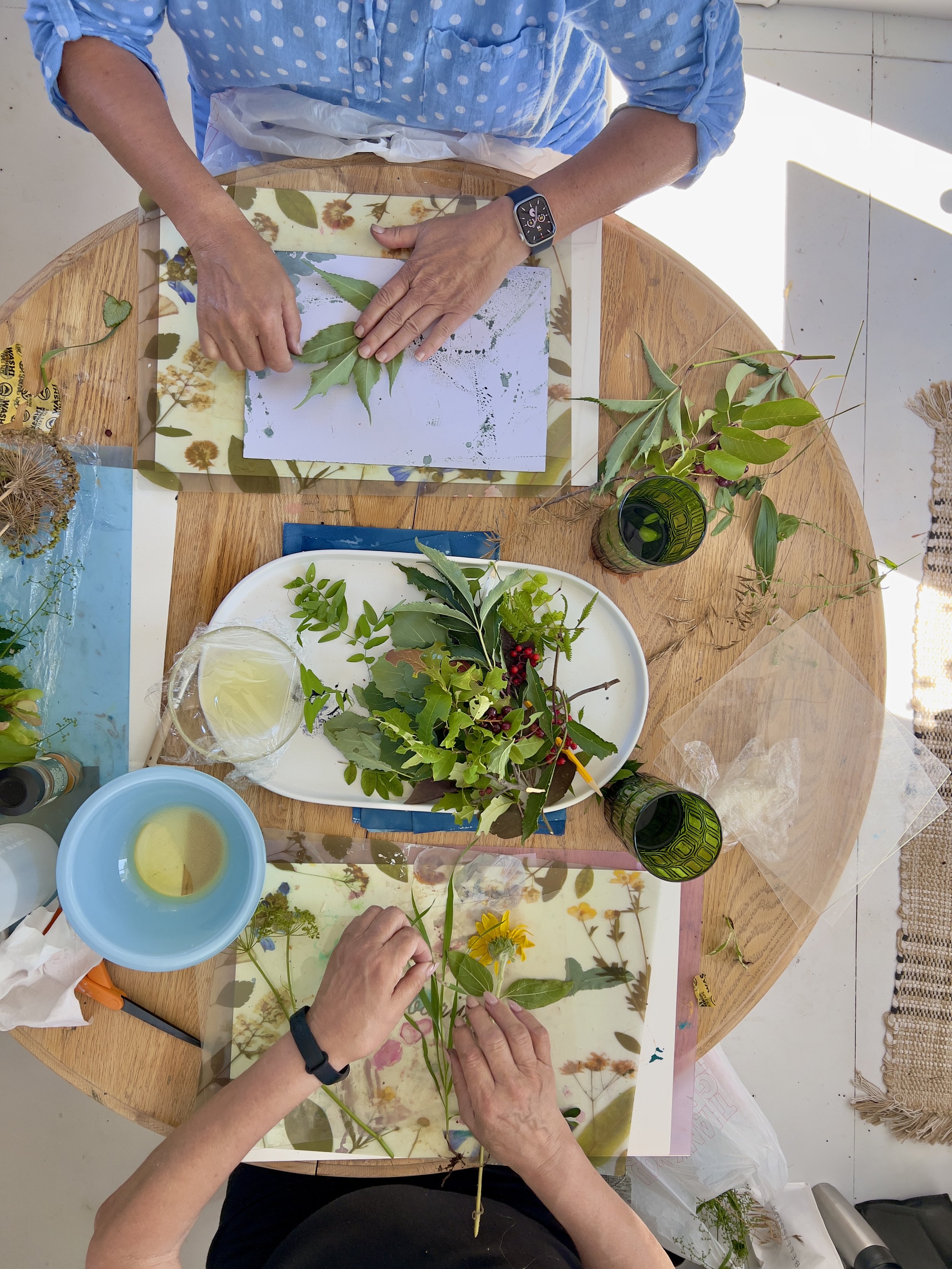 learn to cyanotype engelbelle workshop.jpeg