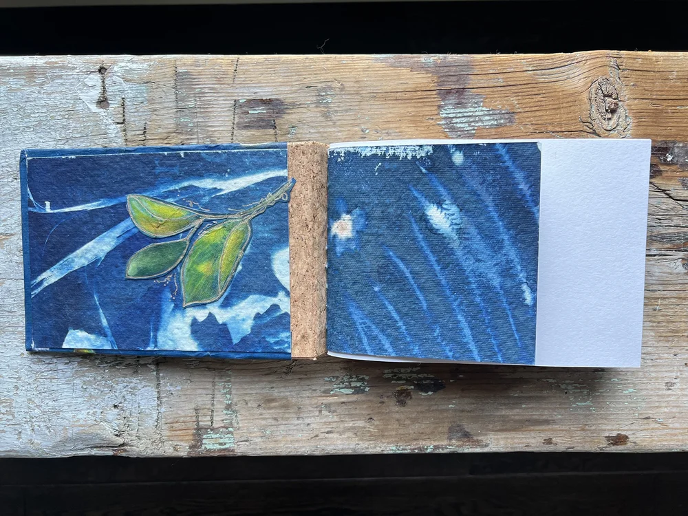 engelbelle painted cyanotype handmade journal inside front cover.jpeg