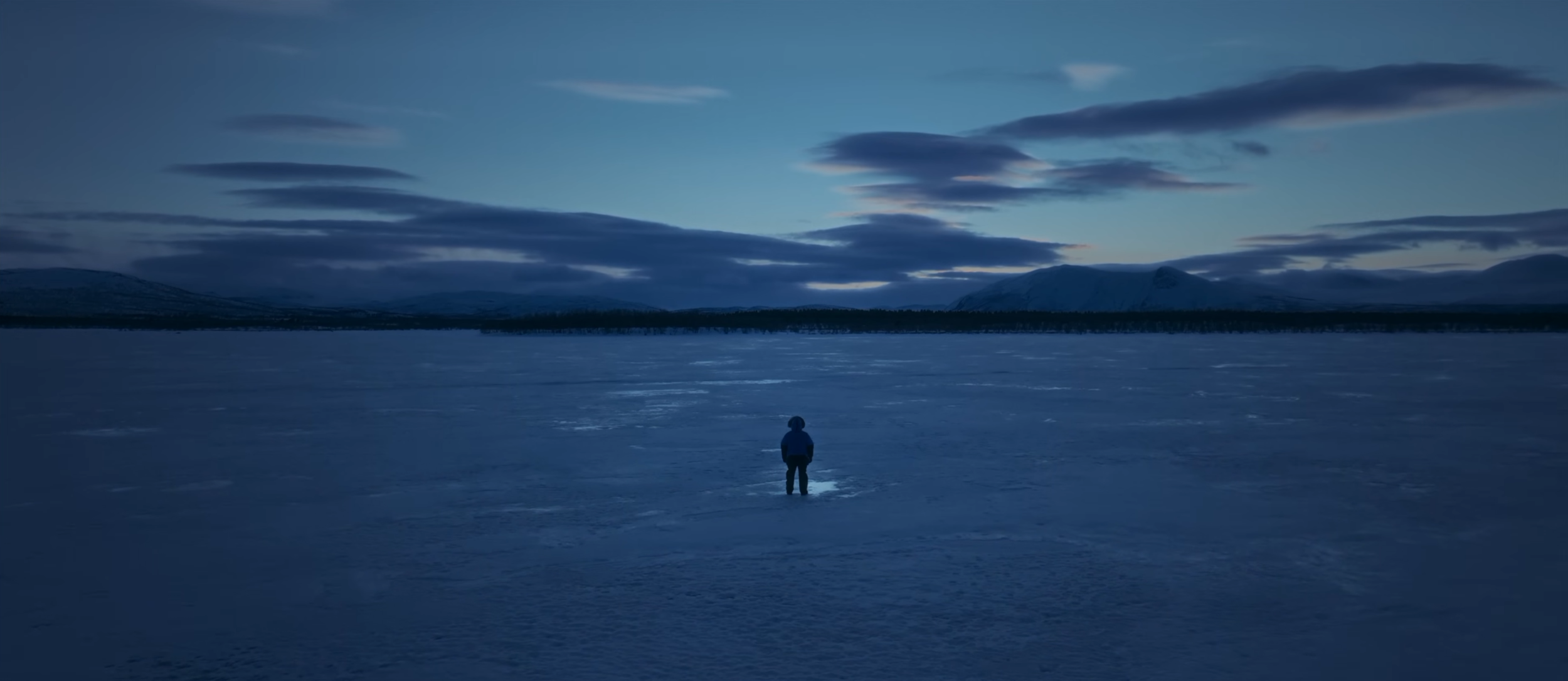 Life Above the Arctic Circle