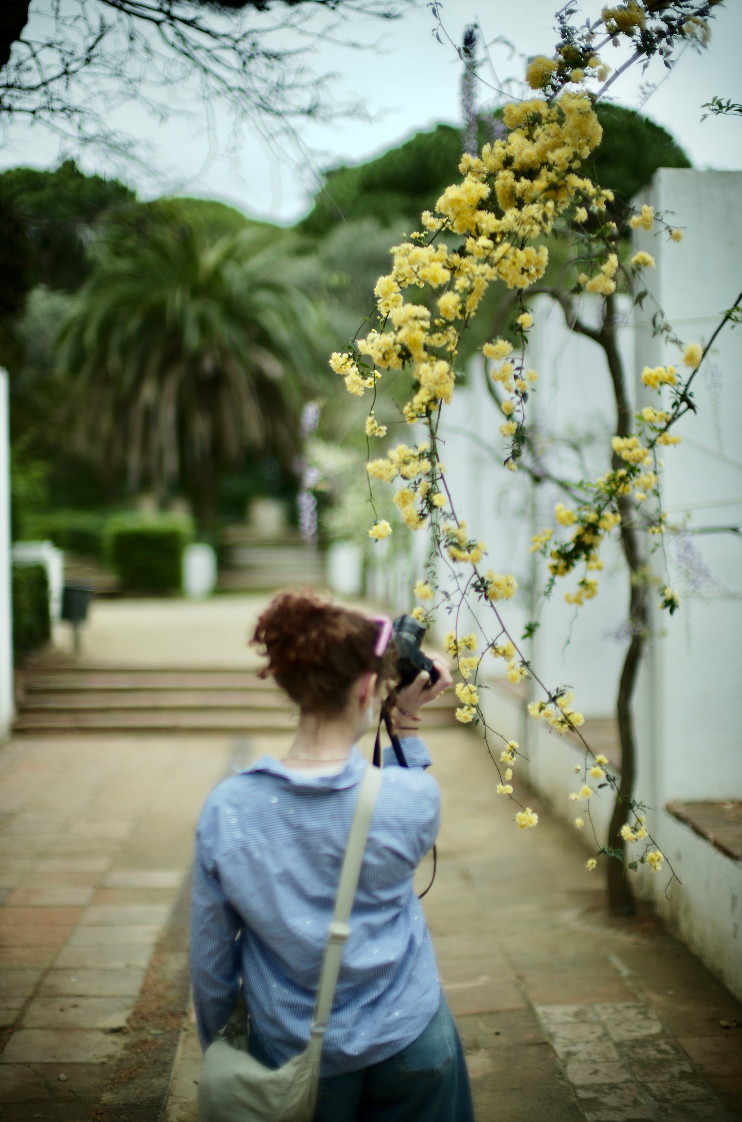 Action Shot (Barcelona)