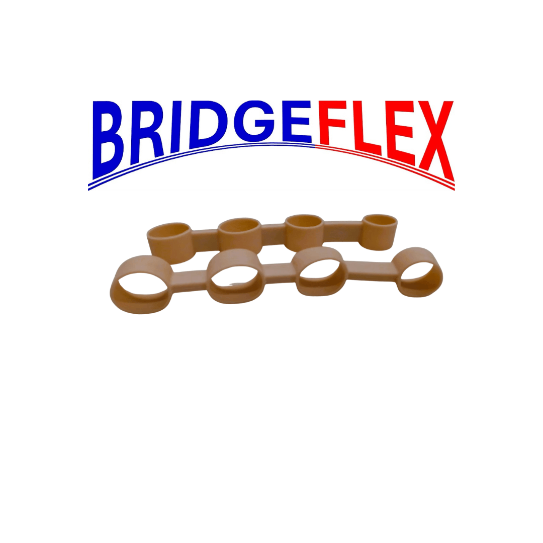 BRIDGEFLEX main-tiny.png