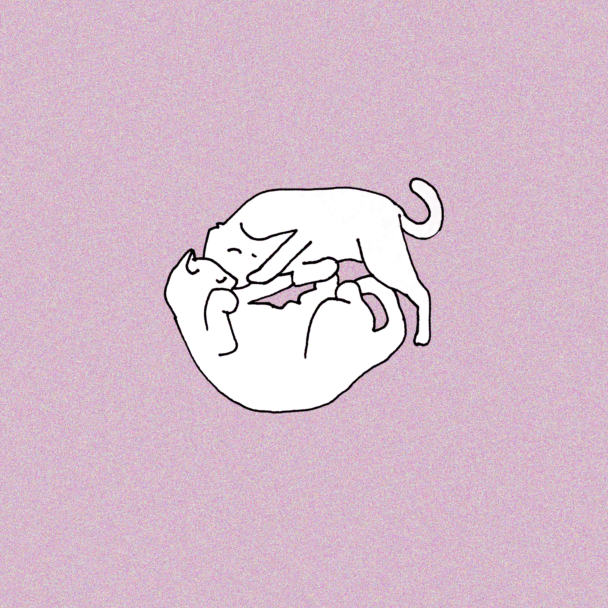 blob 6-21 2.png