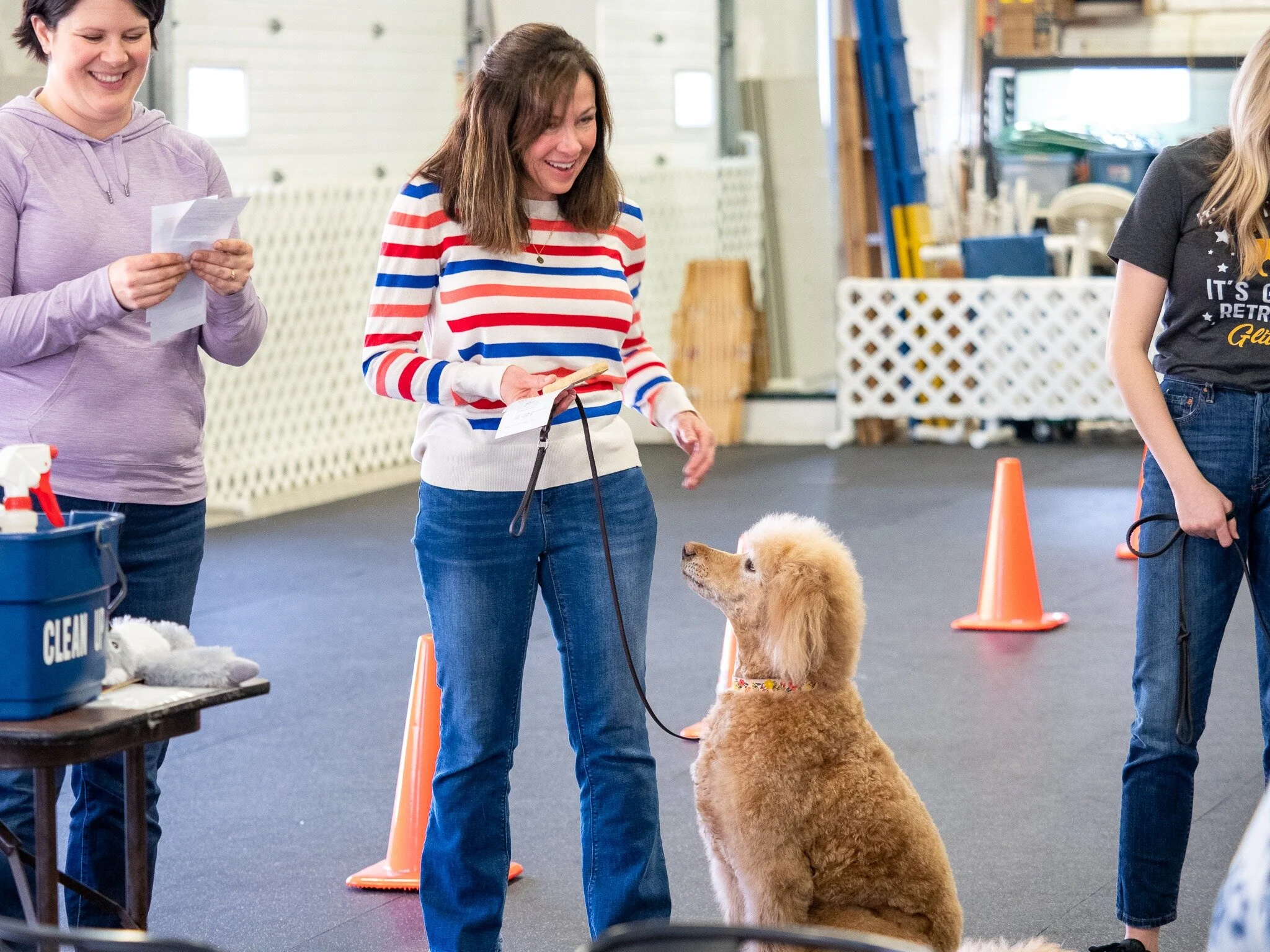 kindergarten puppy training near me