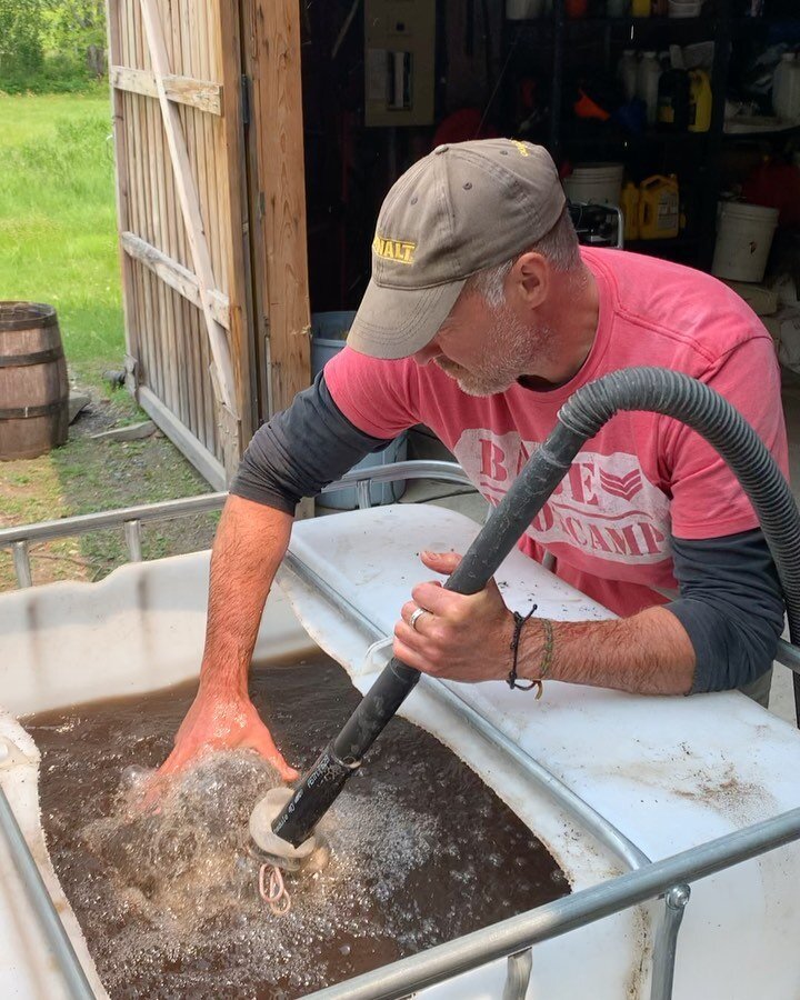 Extrait de compost in the making!  Tout le vivant sur le domaine recevra de ce beau jus brun dans les prochains jours et de fa&ccedil;on r&eacute;guli&egrave;re. Bact&eacute;ries, enzymes et champignons seront transmis du compost &agrave; l&rsquo;eau