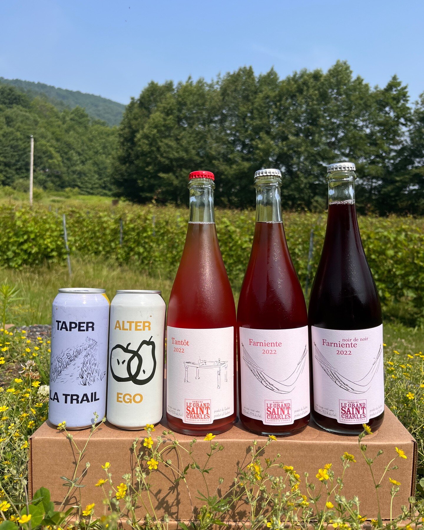 LINE UP bulles! Dispo d&egrave;s midi sur notre boutique en ligne et sur place au vignoble.