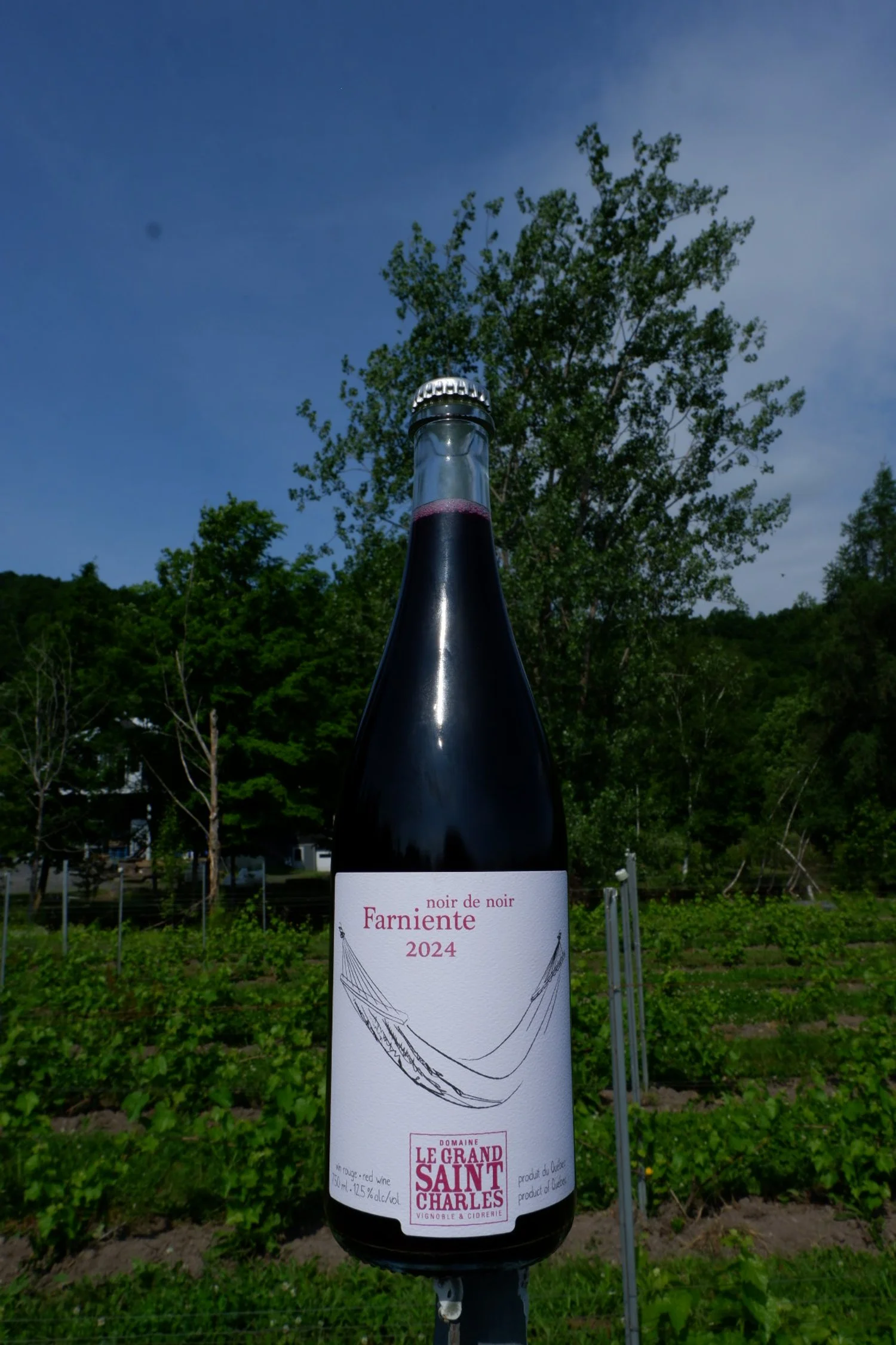 Farniente noir de noir 2024