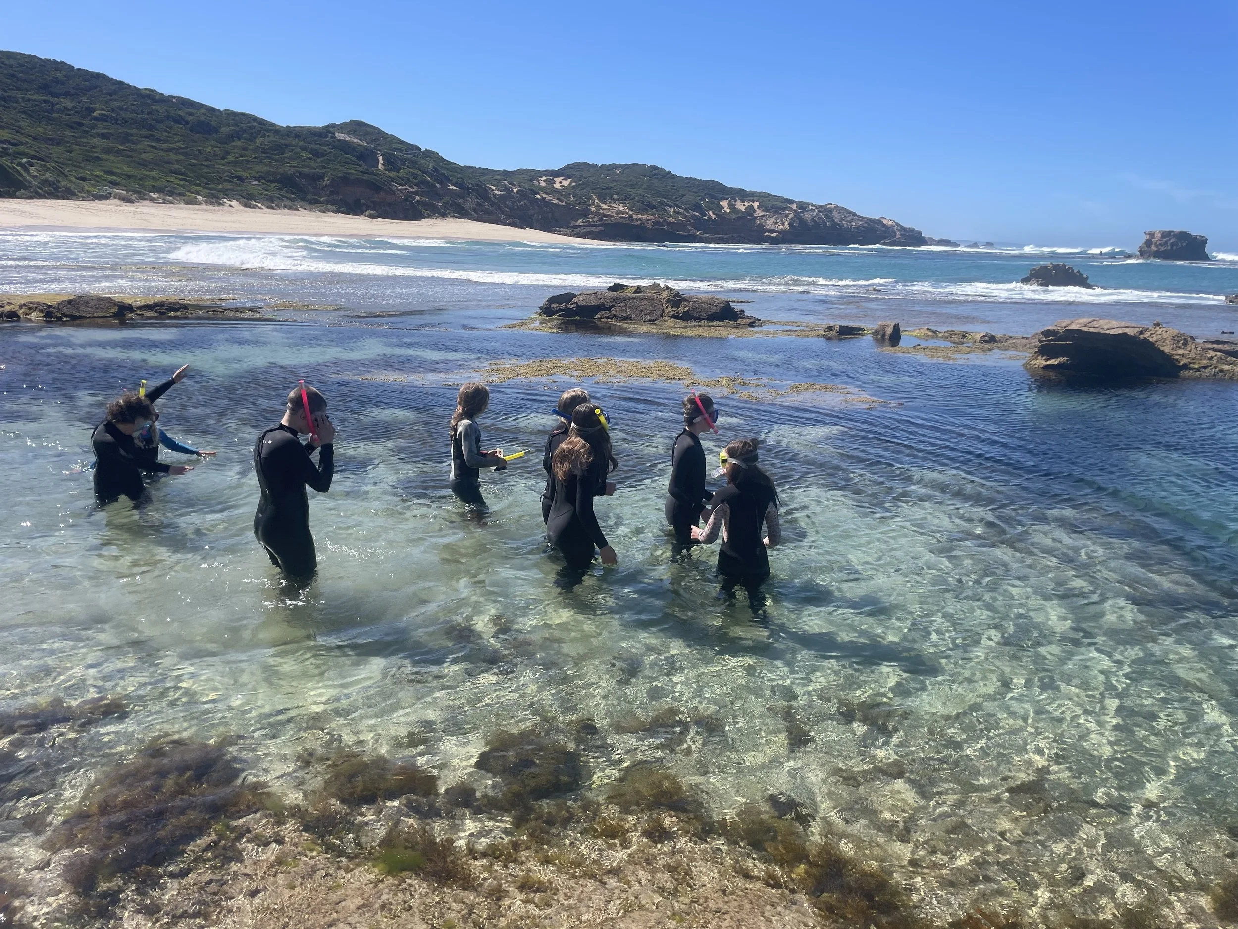 Image for Website (7).jpeg