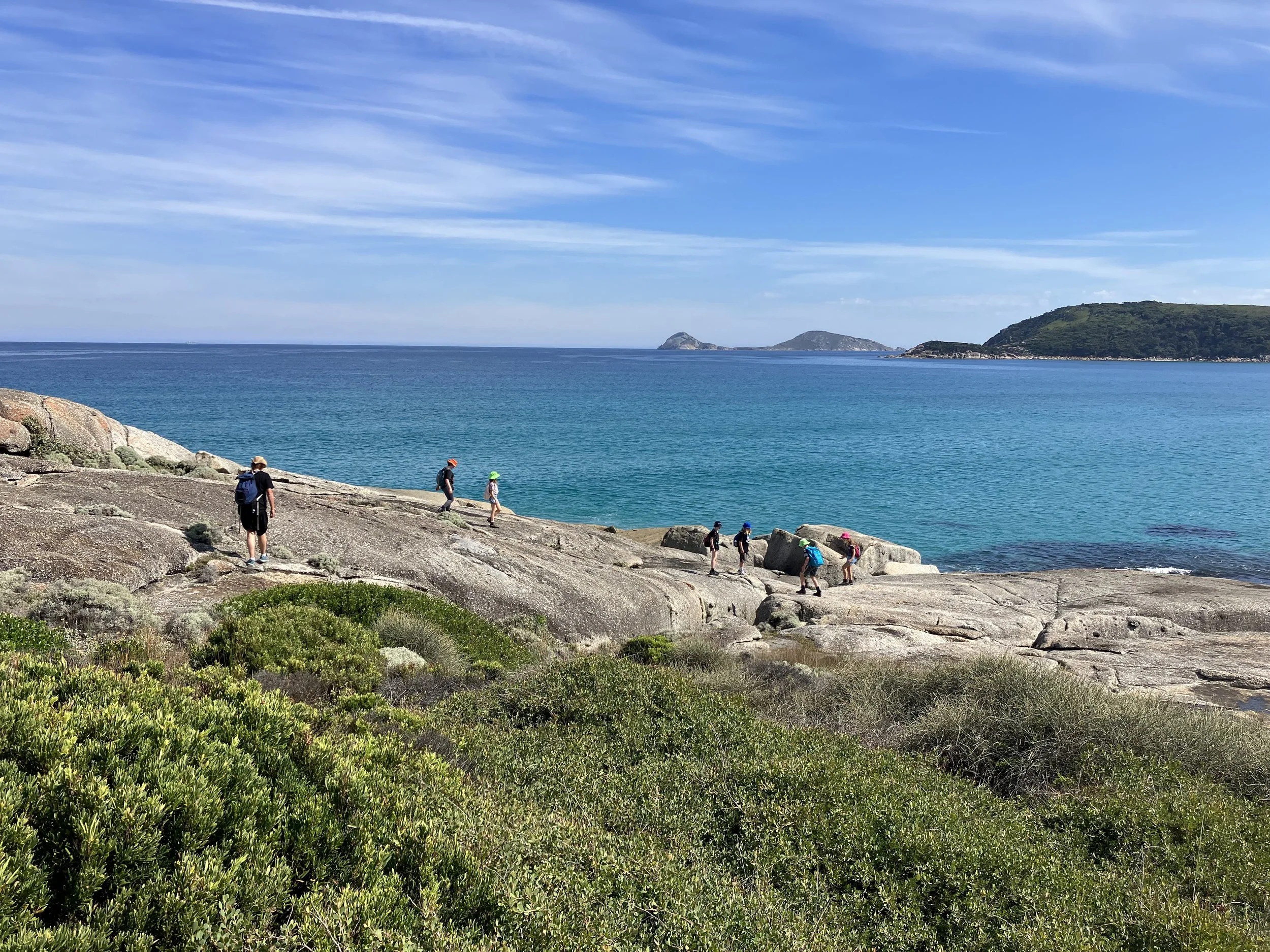 Image for Website (13).jpeg