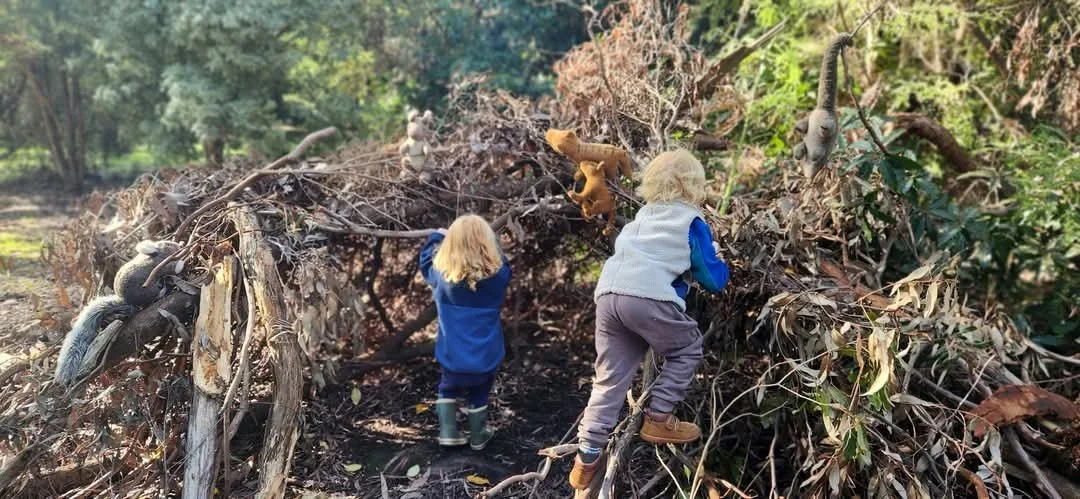 Bush Playgroup_2025 (2).jpg