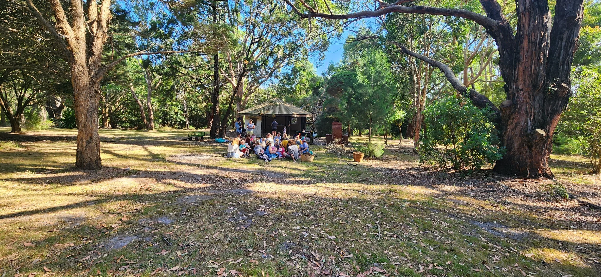 Bush Playgroup_C1_2024 (1).jpg