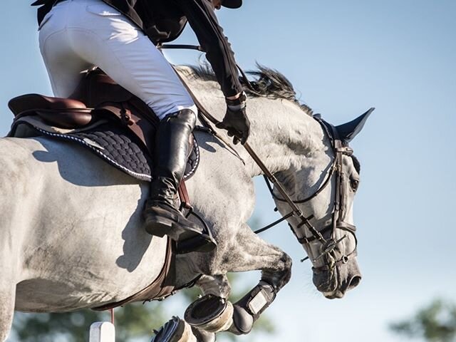 Jumping into not only the week.... but a new month. No April fools here!⠀⠀⠀⠀⠀⠀⠀⠀⠀
.⠀⠀⠀⠀⠀⠀⠀⠀⠀
.⠀⠀⠀⠀⠀⠀⠀⠀⠀
.⠀⠀⠀⠀⠀⠀⠀⠀⠀
#compasseq #equestriandivision #agentsofocompass #compasseverywhere #aprilfools #april #realestate #broker #realestatebroker #lifestyle