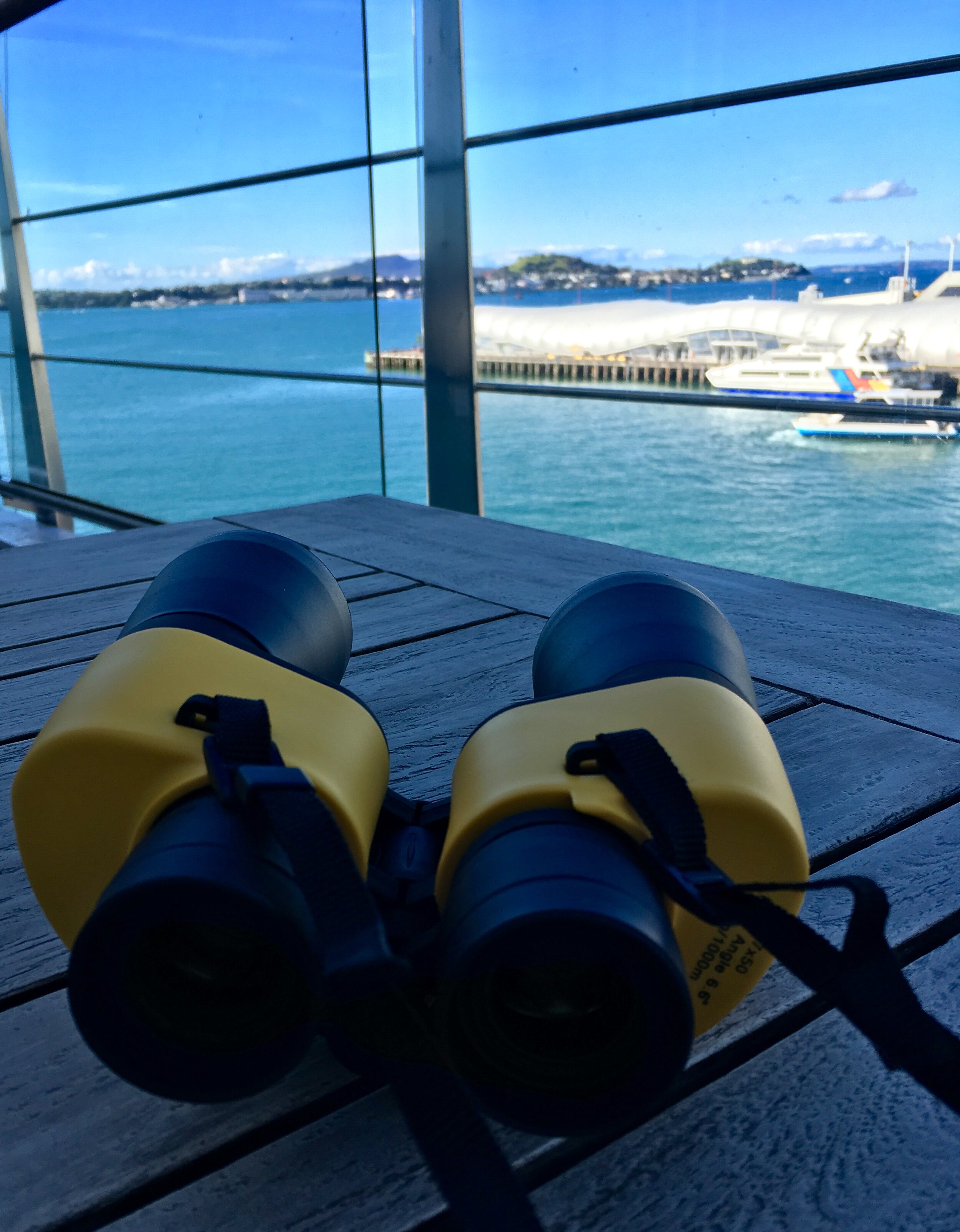 A21S19 binoculars.jpg