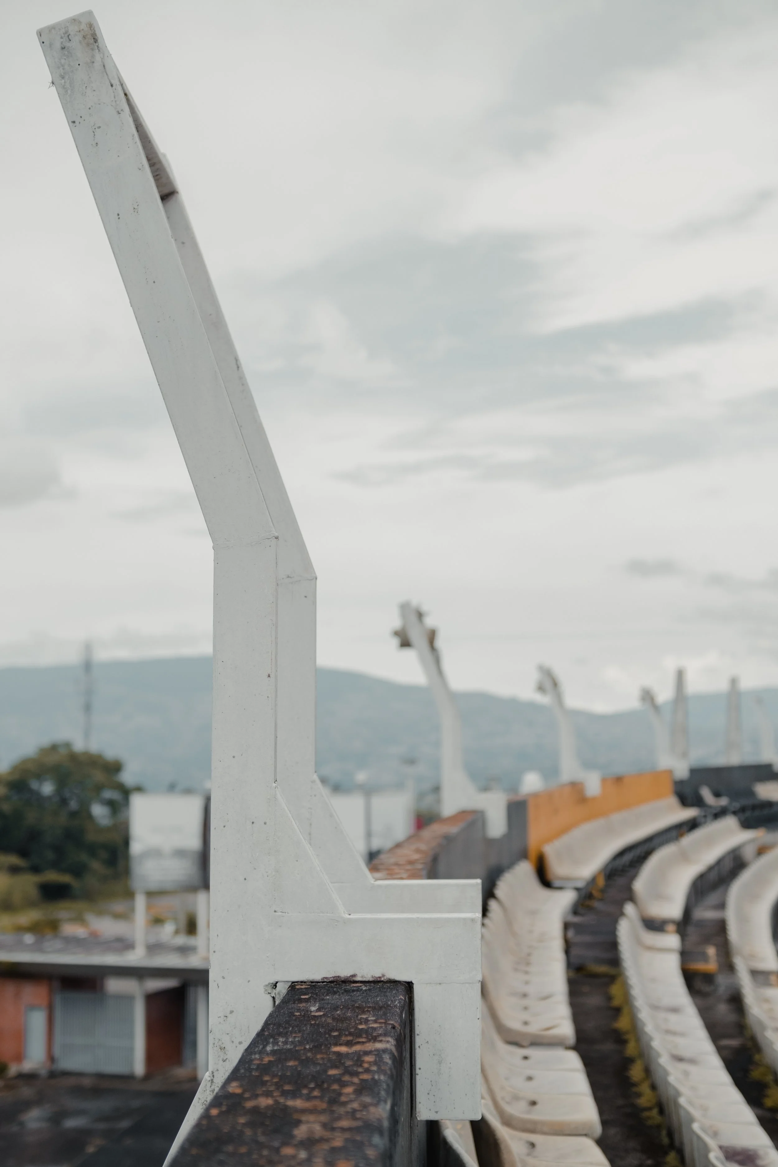 DSCF0417.jpg