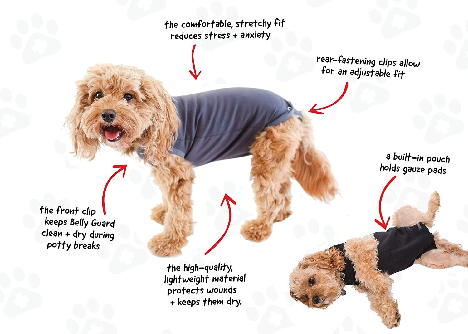 Dog Recovery Suit: Keep Your Pooch Comfortable — The BellyGuard