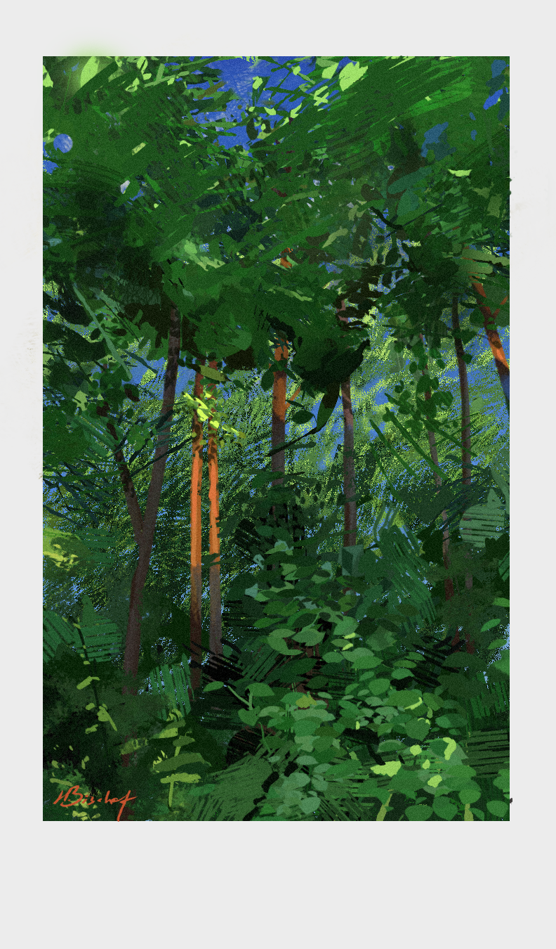 tree study 2 hrs.png