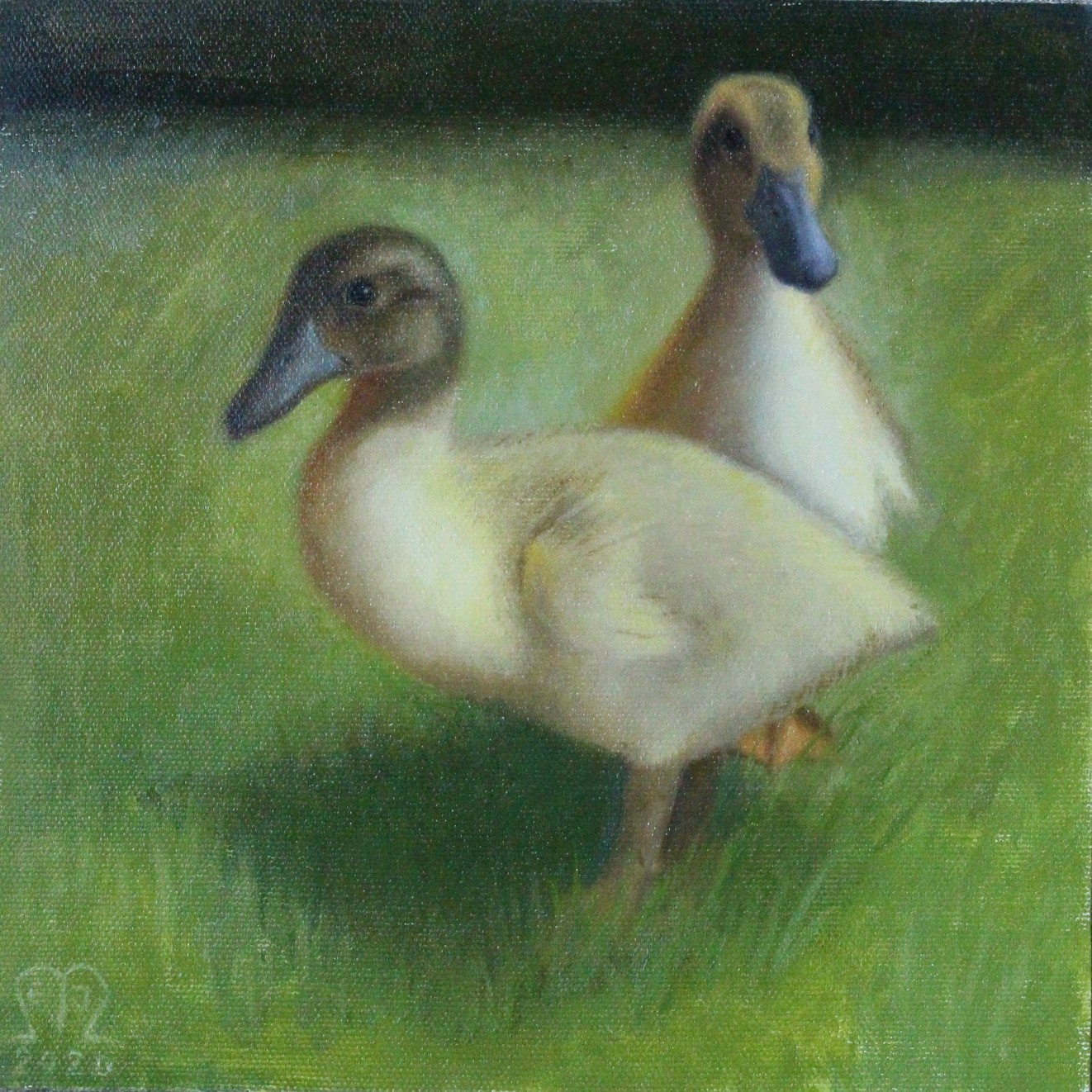 studiesDucklings.jpg