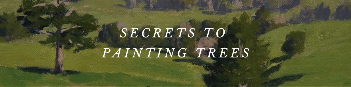 Class Page Banner.png