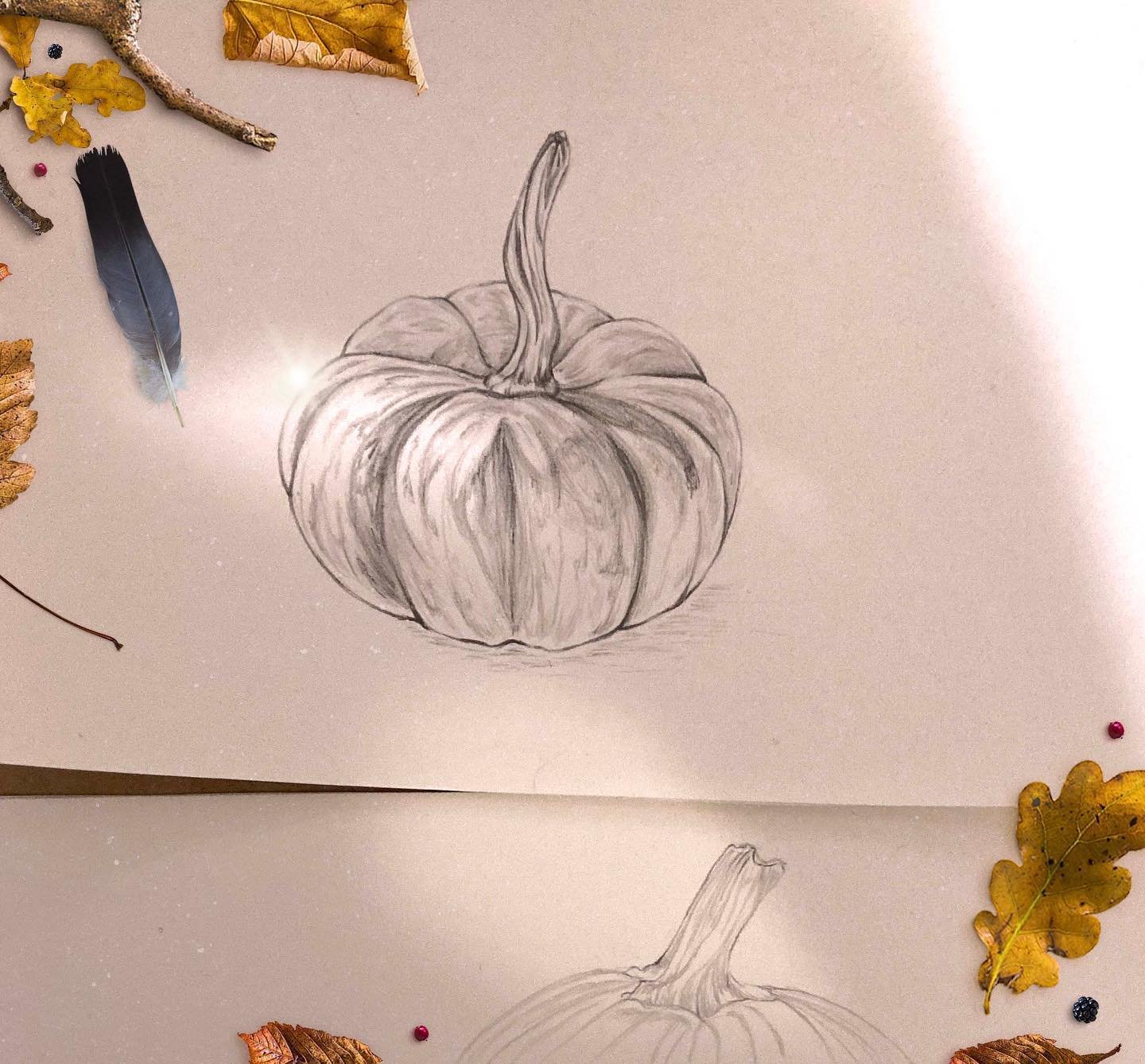 Pumpkin magic ✨✍🏼

#illustrationartists #fantasyillustration #pumpkinillustration #childrensillustration #wipillustrations #woodlandnursery #graphitesketches #myillustrationprocess #halloweenillustrated #halloweenillustrationforkids #spooky #wimsica