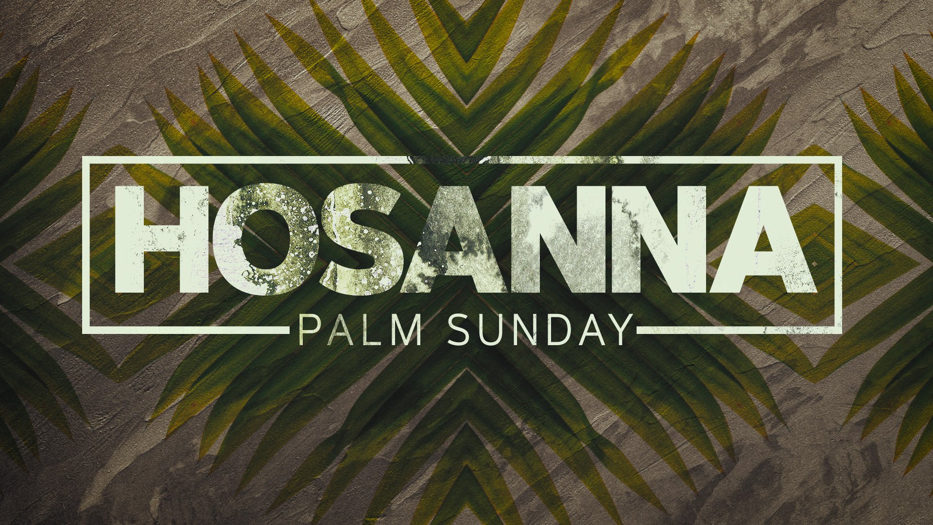 Palm Sunday - March 24