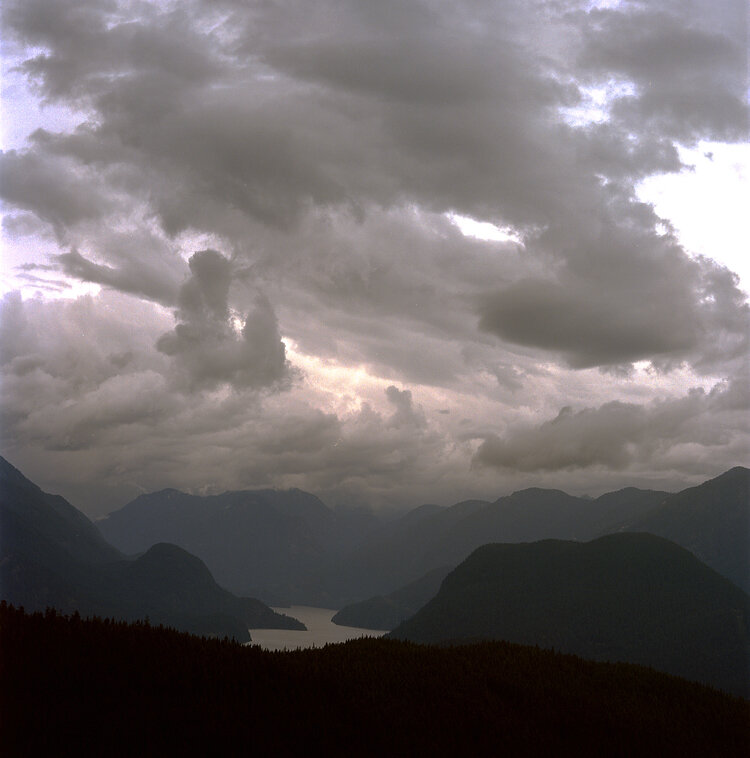 Hawk View by Jock McDonald