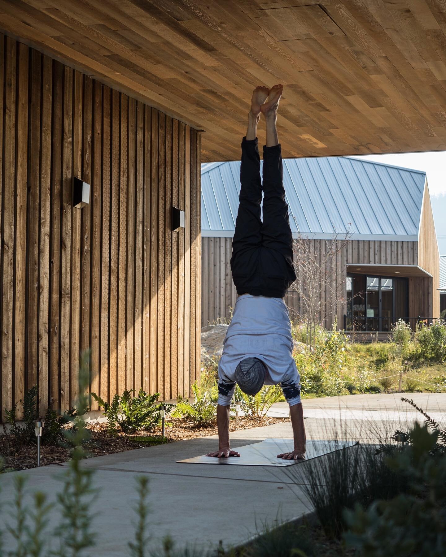 When the world is upside down, you might as well be too. 🪬 

From a beautiful fall retreat with @vowyoga at @societyhotel 

#yogawithvictoria #societyhotel #yogainthegorge #breathe #adhomukhavrksasana #upsidedown #findyourcenter