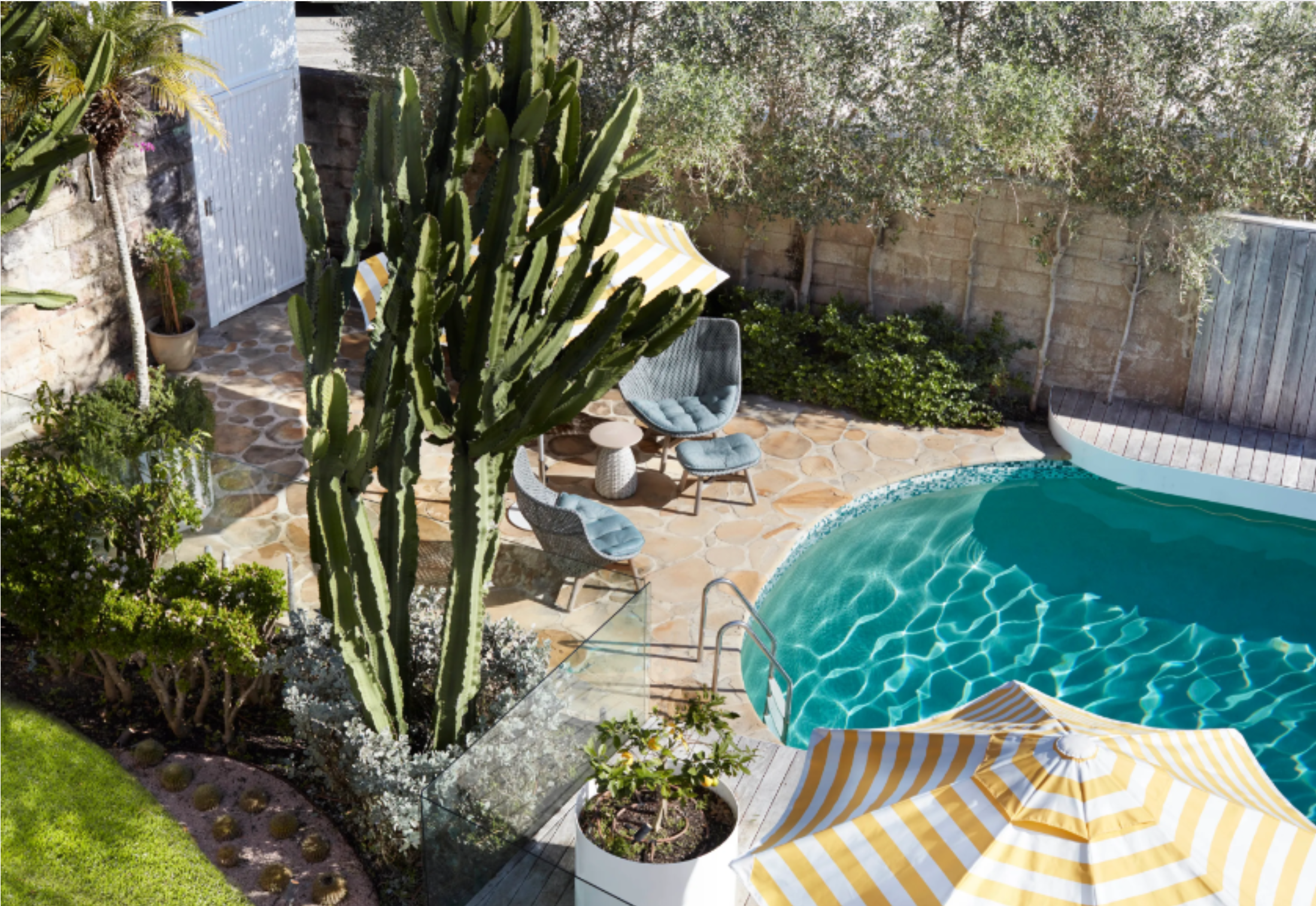 Residential -Back yard.png