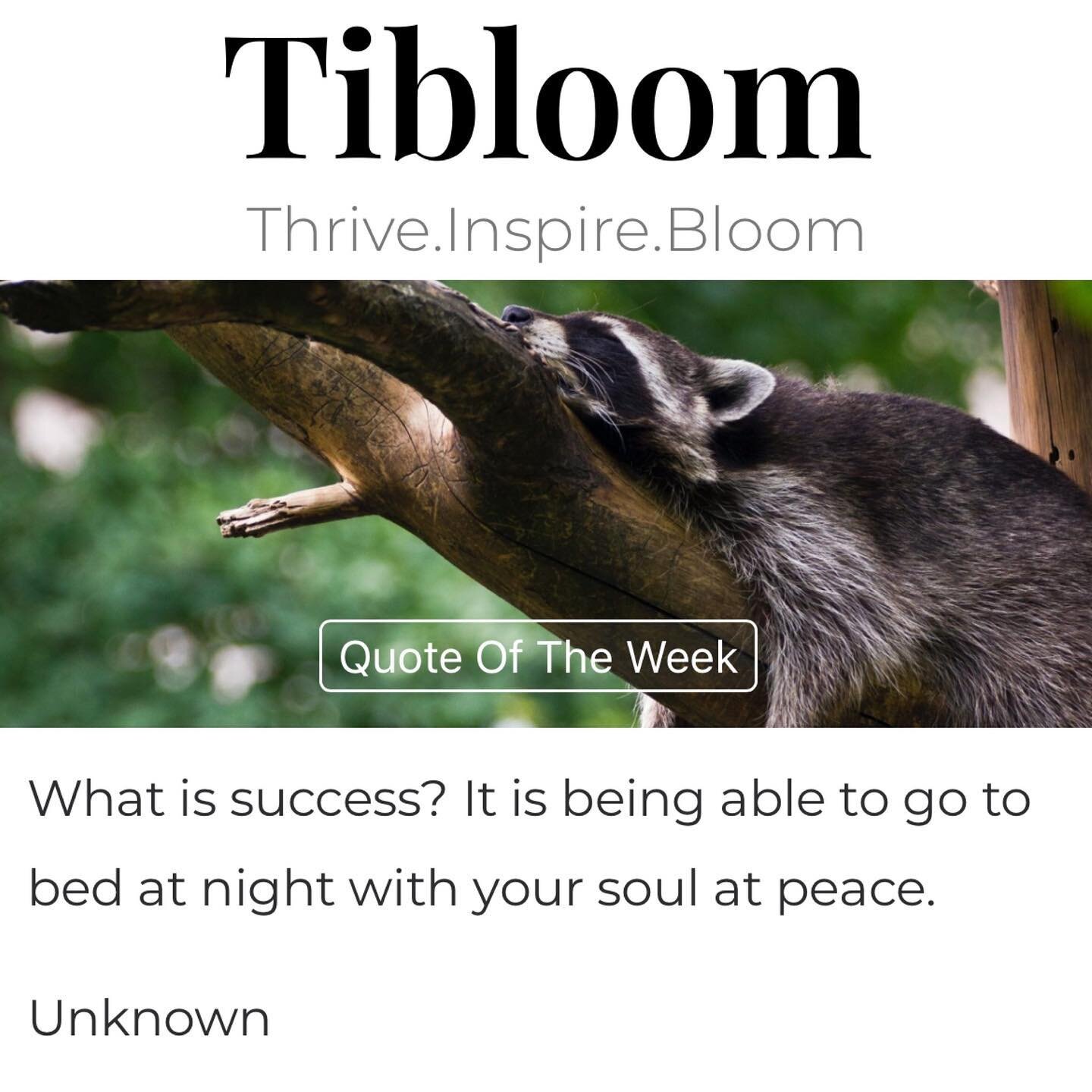 #quotes in Tibloom