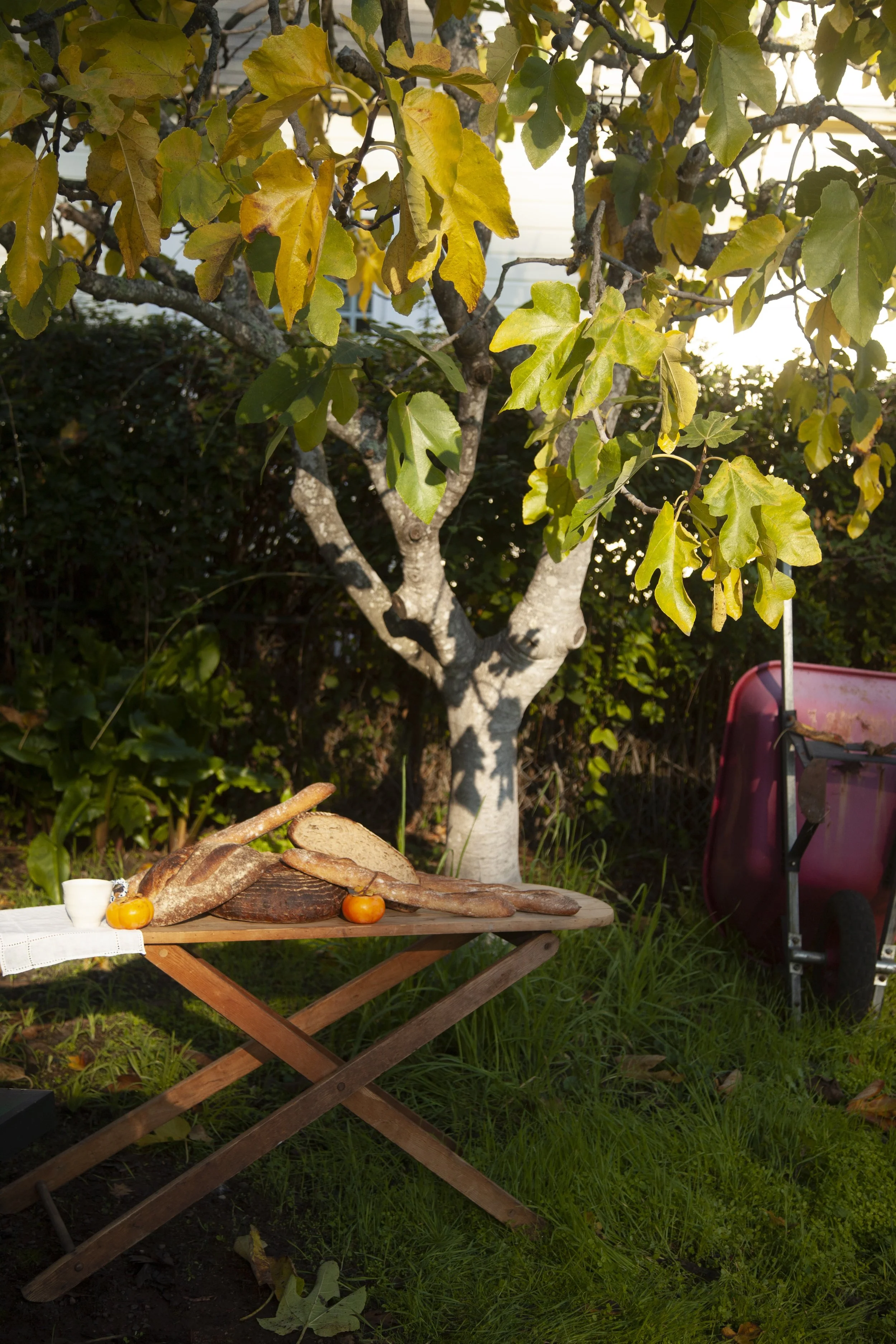 plein air newsletter.jpg