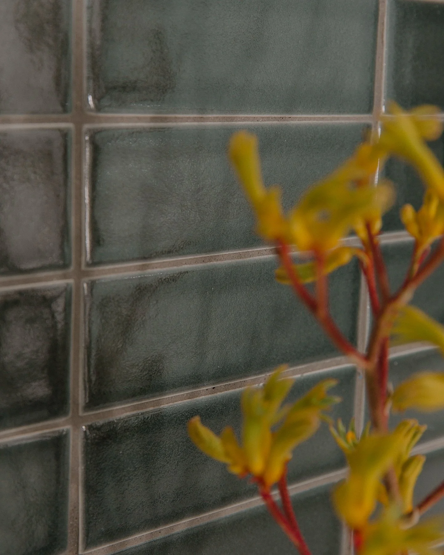 This is a Fireclay tile wall I installed in a primary bathroom. It&rsquo;s not just pretty&mdash;it&rsquo;s handmade, non-toxic, and beautifully imperfect.

Here&rsquo;s a treat for my savvy homeowners. Screenshot this caption or call me for your rem
