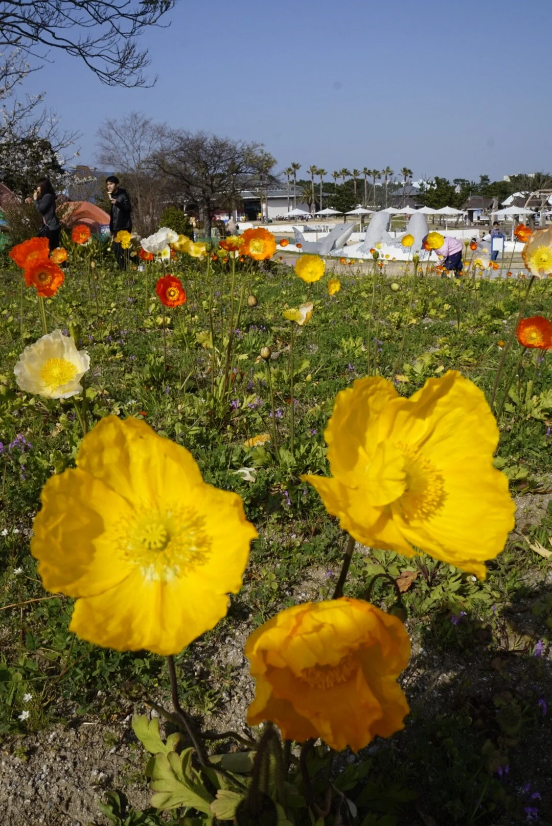 2F3A202C-E6BD-472F-86AD-57D848EF83FA 2.JPG