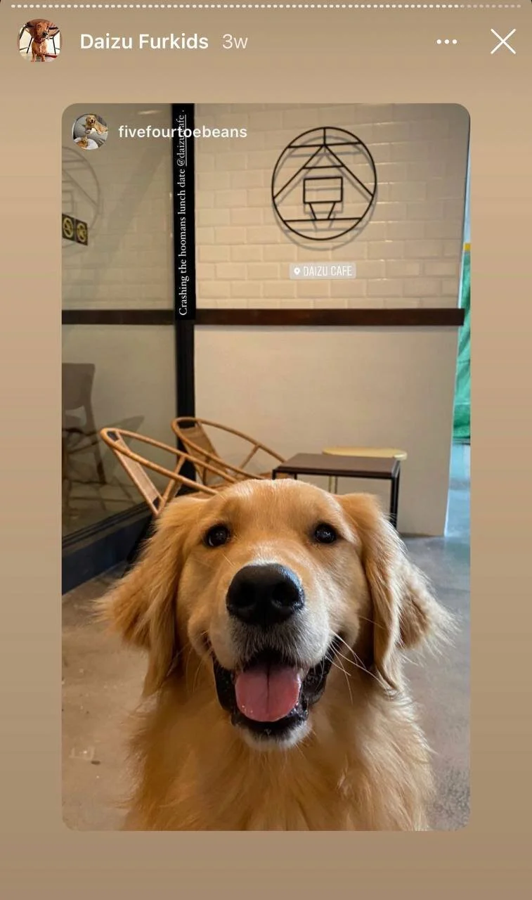 photo_2020-12-30 18.30.25.jpeg