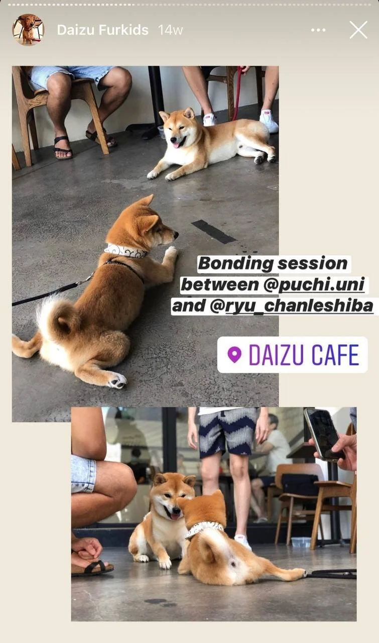 photo_2020-12-30 18.38.58.jpeg