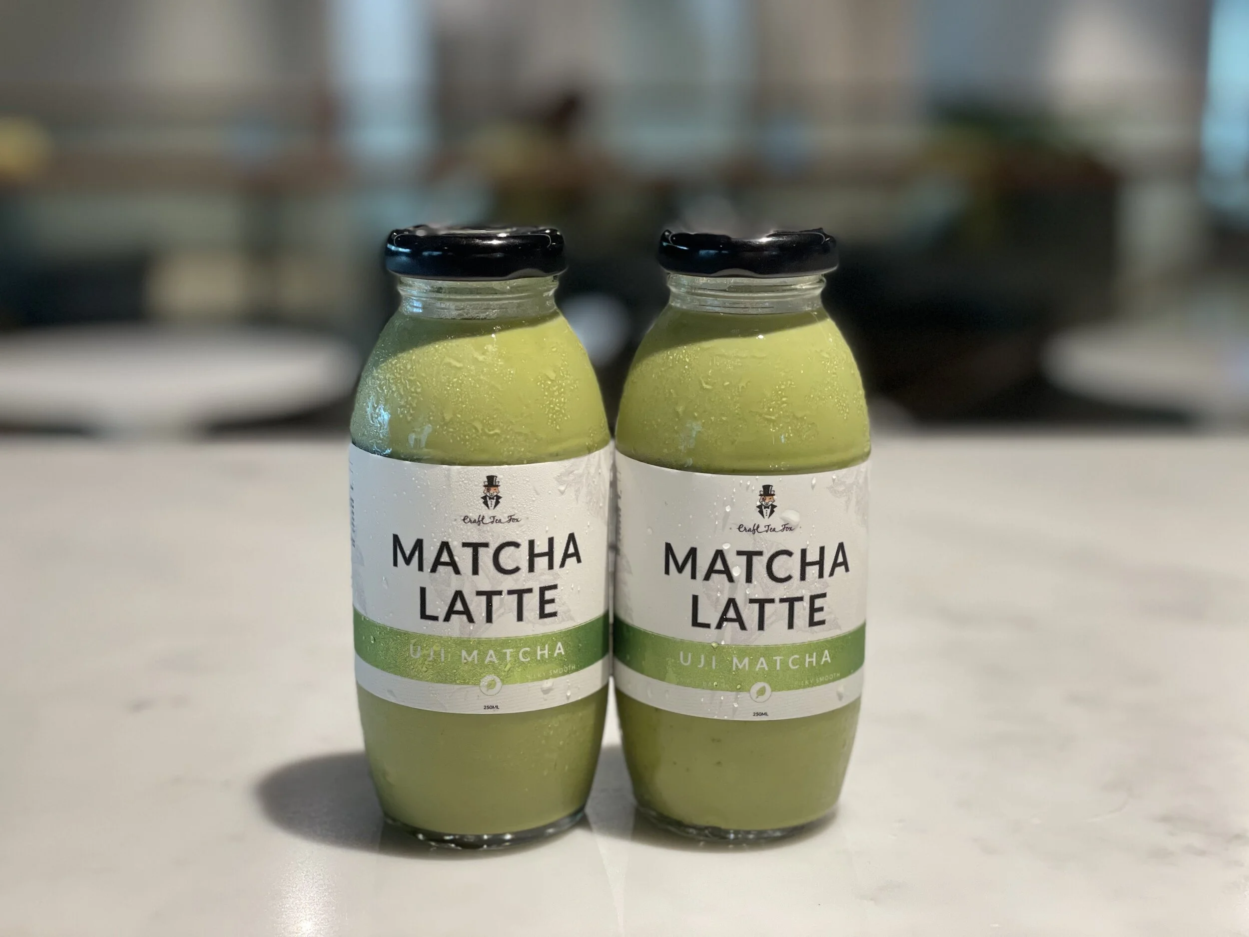 Craft Tea Fox Indulge in CafeGrade Lattes — NANI?! なに Singapore's