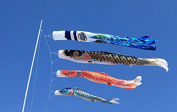 carp-streamers-600x381.jpeg