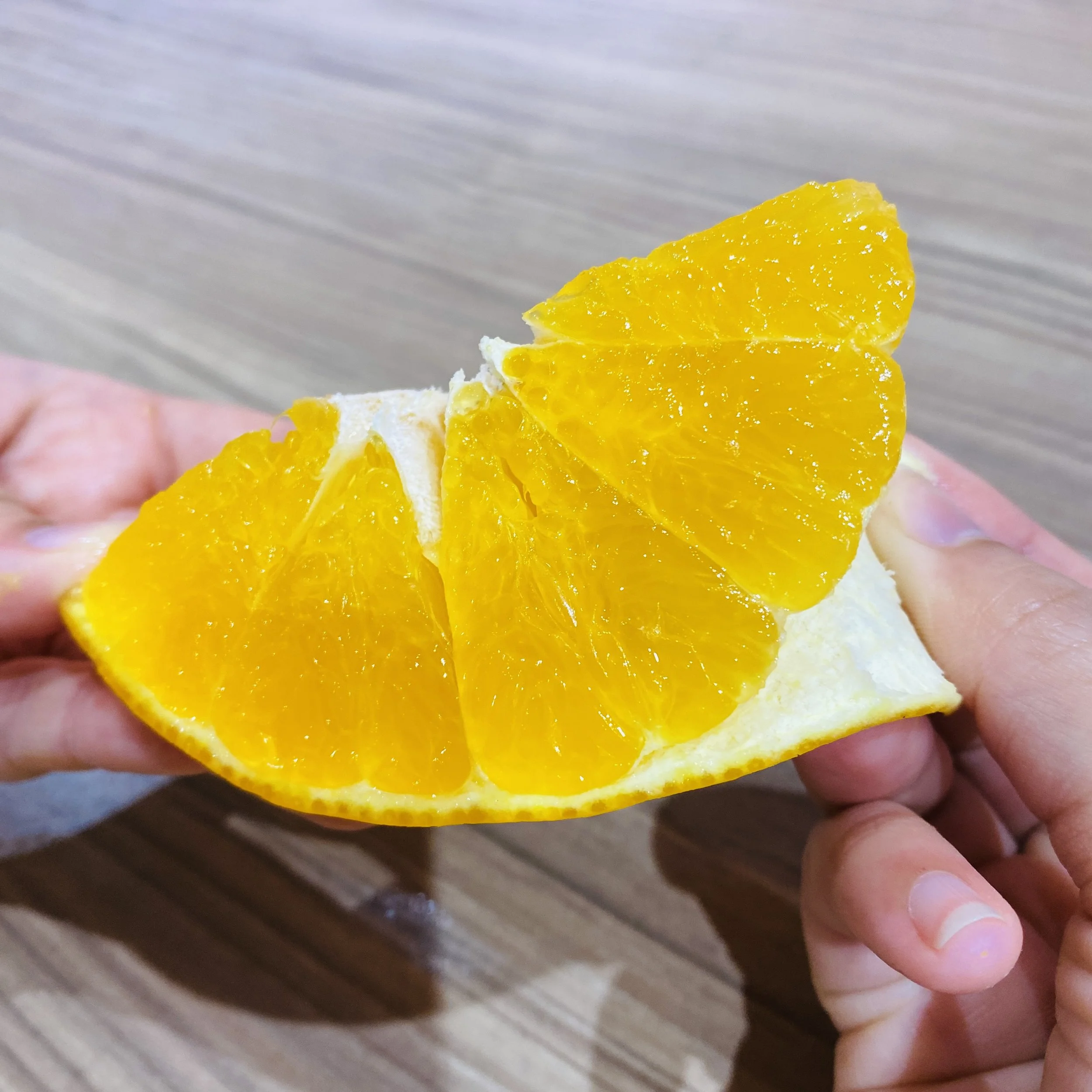 Japanese Benimadonna Orange slice.jpg