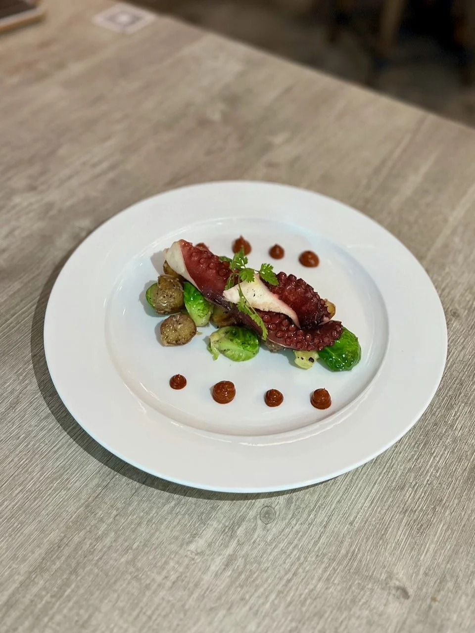 Lazy Lizard - 12 of 20.jpeg