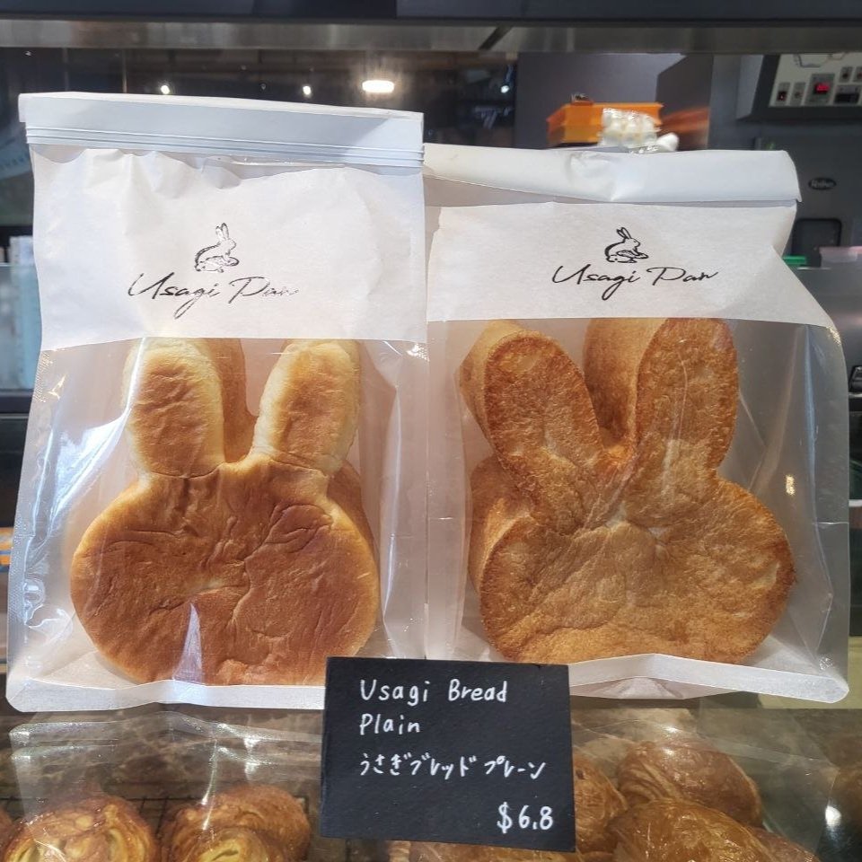 bunny+1.jpg