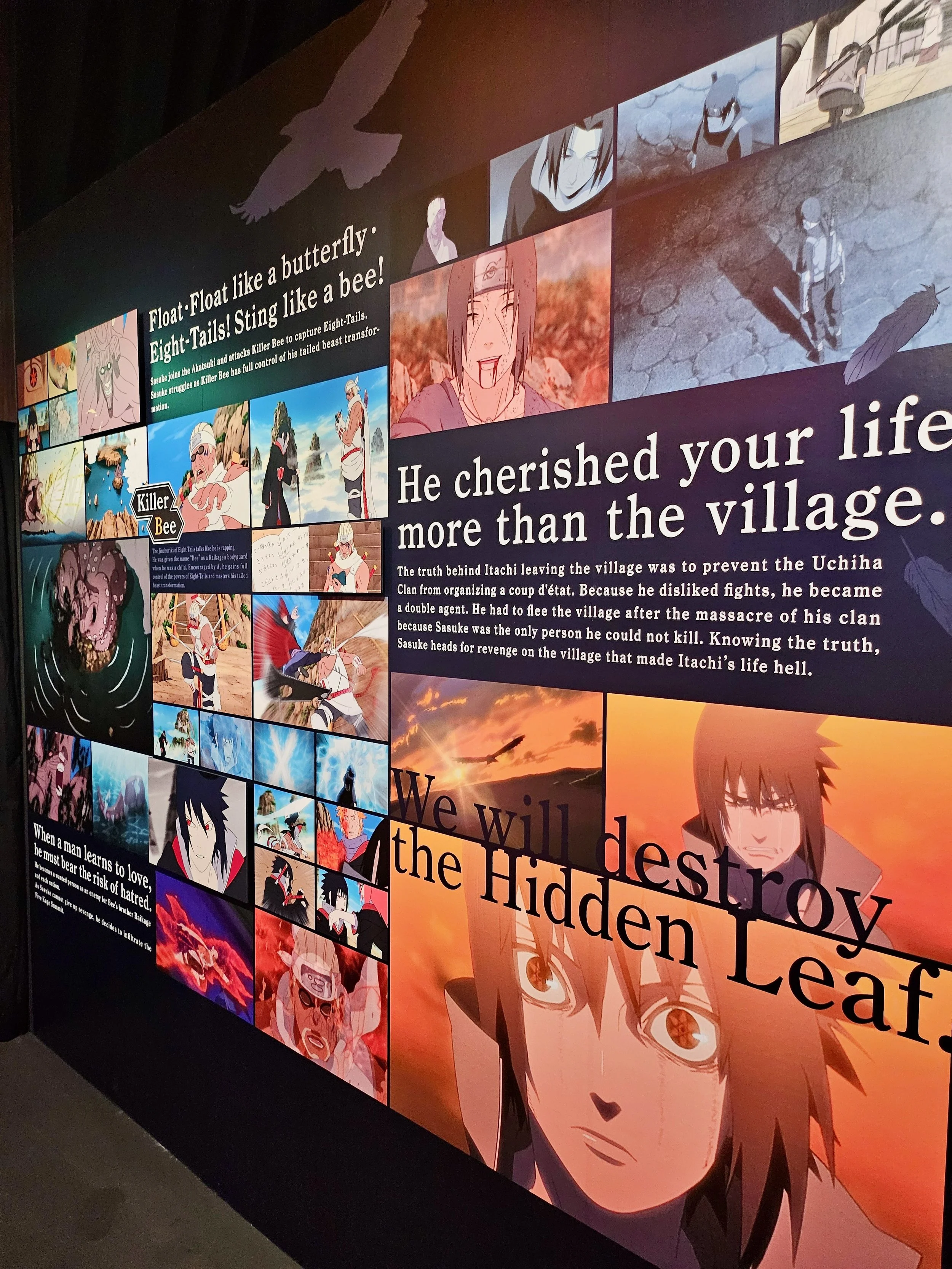 NARUTO - 8 of 22.jpeg