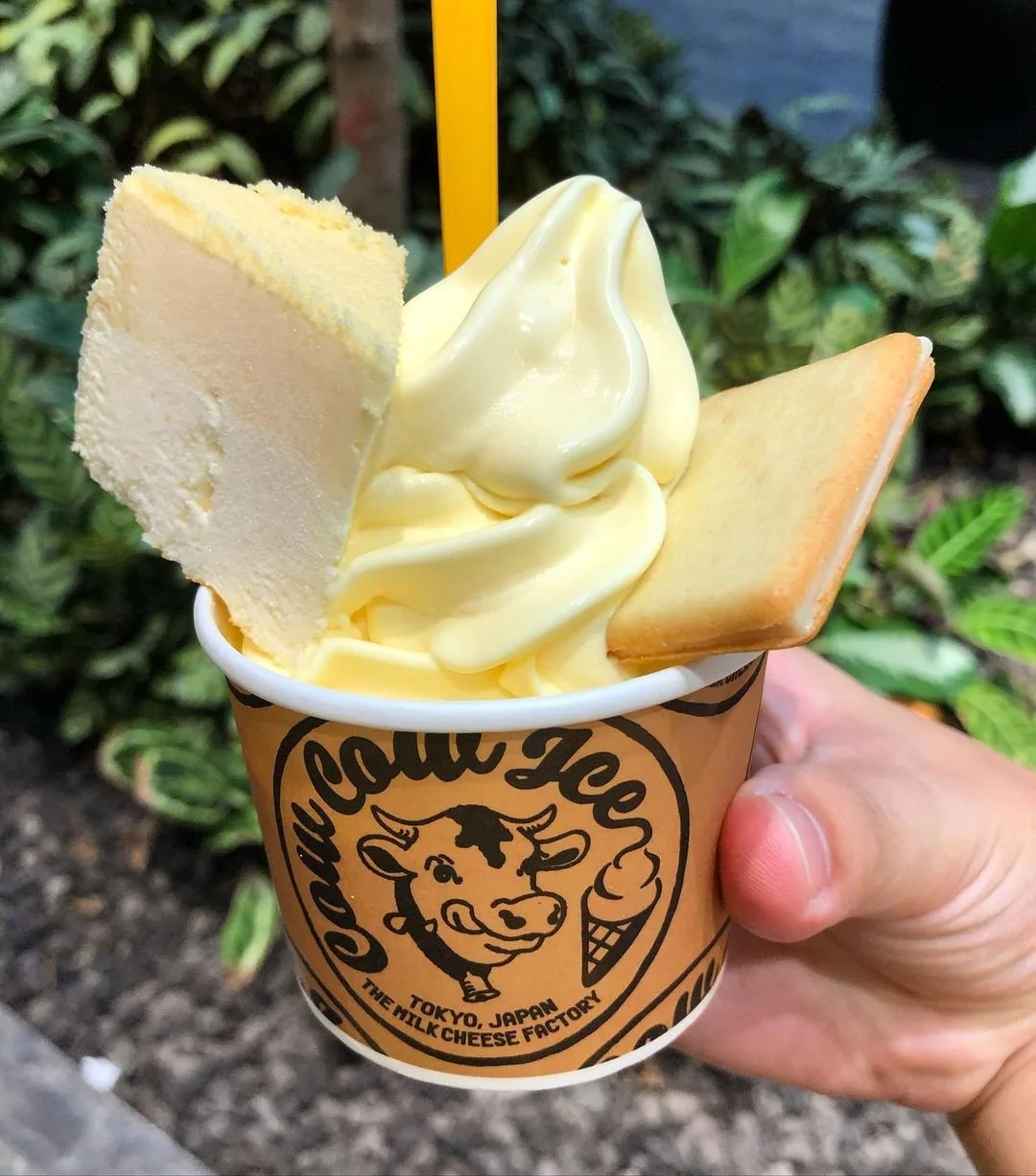 cheese1.jpg