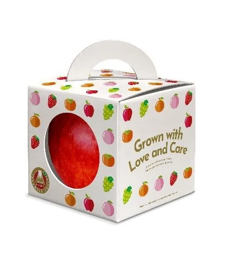 Experience Japanese Fresh Fruits and Vegetables Fair Press Release.jpg