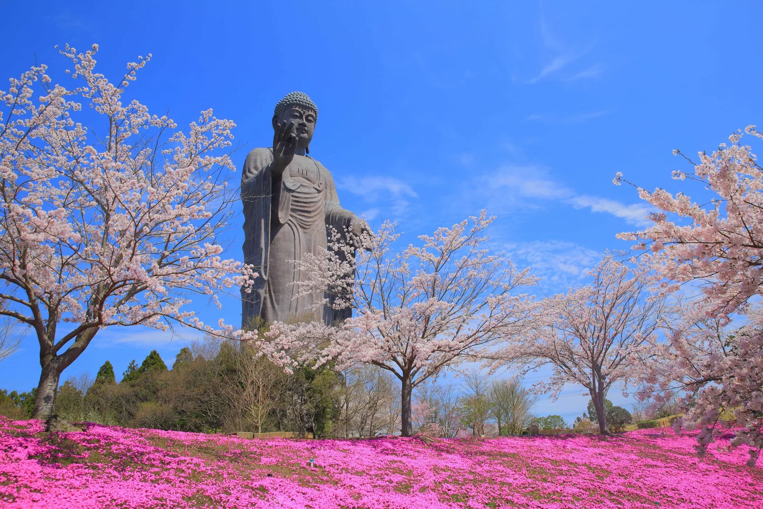 Japan Travel, Food & Lifestyle Guide in Singapore