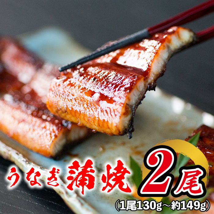 Unagi Kabayaki