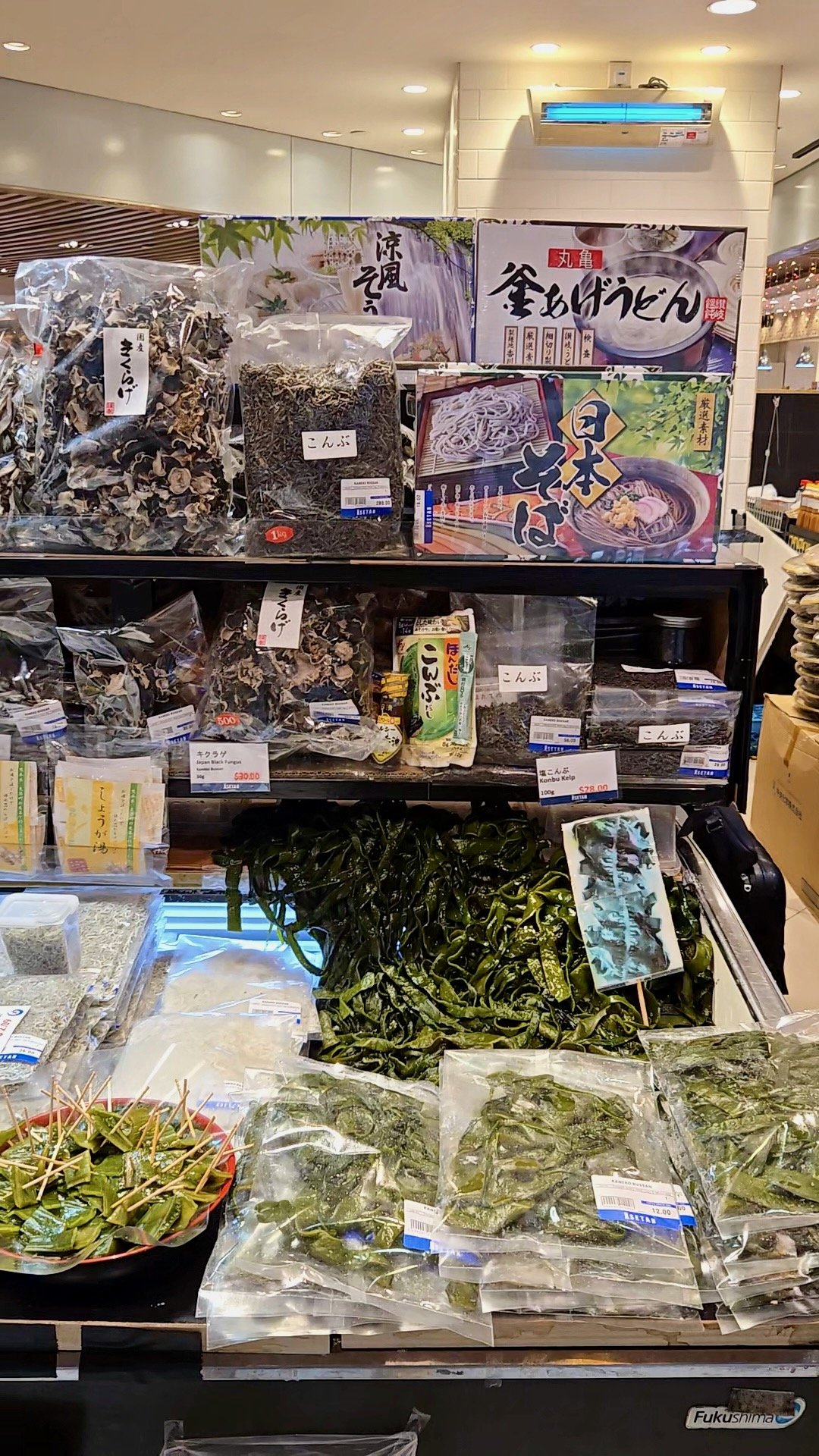 Yatsushiro Fair - 1.jpeg