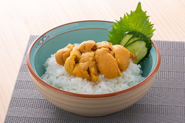 Sanriku Branching Sea Urchin