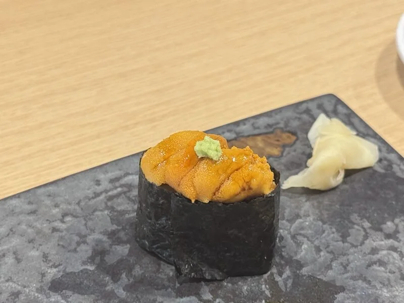 koga10.jpg