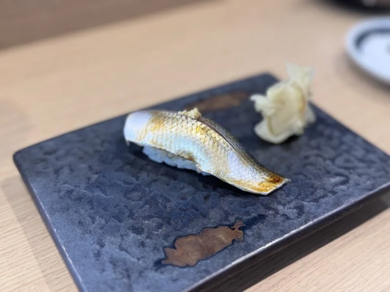 koga11.jpg