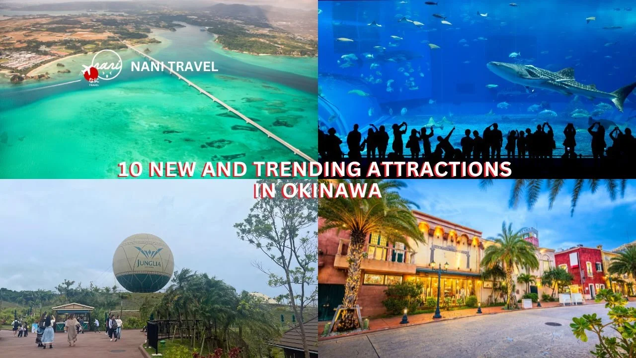 10 New and Trending Attractions in Okinawa Beyond the Beaches