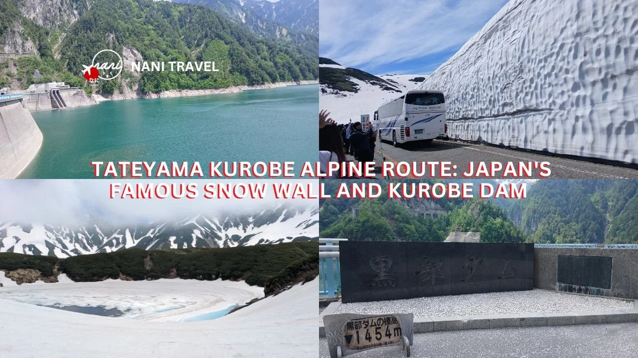 Exploring the Tateyama Kurobe Alpine Route: Japan's Famous Snow Wall and Kurobe Dam