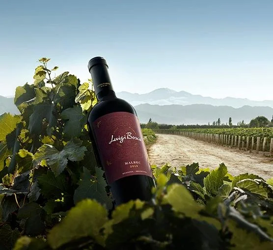 LUIGI BOSCA DE SANGRE MALBEC DOC RANKED N°1 AT THIS SUMMER´S TASTING HIGHLIGHTS EVENT FROM WINE SPECTATOR 